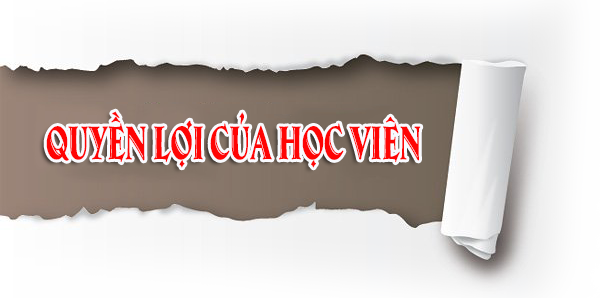 QUYỀN LỢI CỦA HỌC VIÊN TẠI TRUNG TÂM (250x420) QUYỀN LỢI CỦA HỌC VIÊN TẠI TRUNG TÂM